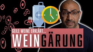 Der Prozess der alkoholischen Gärung beim Wein einfach erklärt  GWerklärt [upl. by Ahsenauj129]