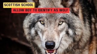 School Boy Identifies as a Wolf in Scotland Species Dysphoria quotThey call themselves Furriesquot [upl. by Zandra]