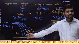 Hemoglobin Oxygen Dissociation Curve II Factor affecting Hb O2 Affinity II Important For NET [upl. by Nehr]