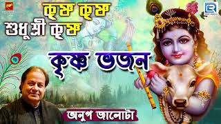 কৃষ্ণ ভজন  Anup Jalota  কৃষ্ণ কৃষ্ণ শুধু শ্রী কৃষ্ণ  Krishna Krishna Shudhu  Bengali Song 2019 [upl. by Devaj]