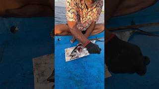 കേരത്തല വെട്ടിയാലോ shortsfeed fishingmalayalam malayalamfishingvideo fishing fishingshorts [upl. by Shuping]