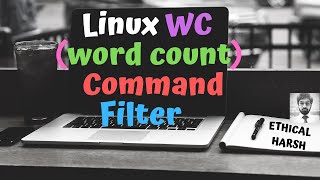 LINUX WORD COUNT COMMAND  WC COMMAND  FILTER  HINDI [upl. by Afatsuom]