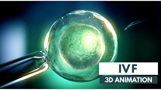 How IVF works  3D Animation [upl. by Nrubua]