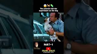 ये दुनिया का सबसे आलसी कुत्ता हैं 😱  short movie dog dogs cartoon [upl. by Novert]