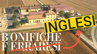 Lazienda agricola PIU GRANDE DITALIA è INGLESE  Bonifiche Ferraresi [upl. by Bourne998]