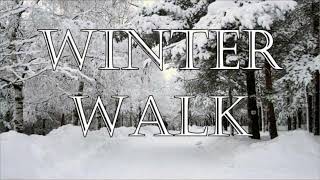 Winter Walk PIANO VERSION [upl. by Nikos661]