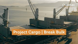 Project cargo  Break bulk vessel chartered by Quantum to import 14000 tons of products [upl. by Idissac]