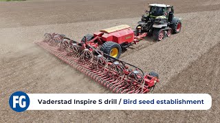 Vaderstad Inspire S 12m drill  Bird seed establishment [upl. by End]