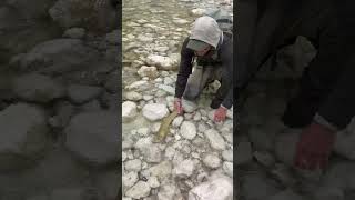 Soca River Marble Trout Fly Fishing [upl. by Golding]