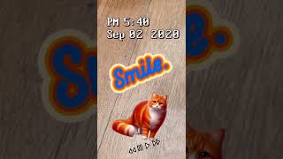 Smile orange Cat  mi ringtone  NJ [upl. by Gabler450]