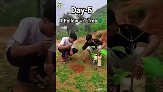 DAY5 OF PLANTING 1M TREE🌲 shorts ytshortsindia [upl. by Materi]