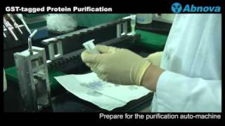 GSTtagged Protein Purification [upl. by Leesa]