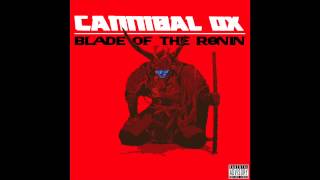 Cannibal Ox  quotThe Power Cosmiqquot feat Kenyattah Black Official Audio [upl. by Eadith]