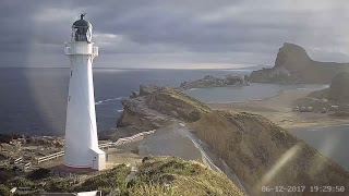 Castlepoint Lighthouse Live Stream 247 [upl. by Esilram]