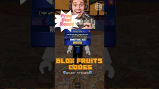 NEW CODES Blox Fruit Codes Free Stat Reset August 2024 [upl. by Cilegna]