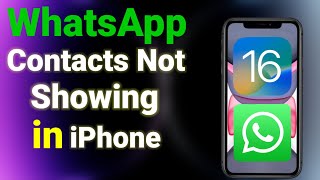 WhatsApp Contacts Not Showing in iPhone [upl. by Nnylidnarb231]