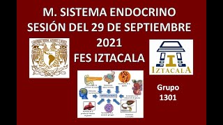 M Sistema Endocrino Sesión del Miércoles 29 de Septiembre del 2021 [upl. by Ynar]