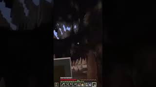 Hermits out of context hermitcraft hermitcraft10 hermitcraftseason10 smallishbeans shorts [upl. by Elladine]