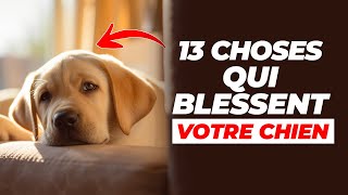 13 Choses Qui Blessent Émotionnellement Votre Chien [upl. by Michi]