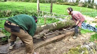 Opening Up The Spalted Beech Log For The First Time [upl. by Ynar]