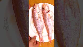 【包唔甩皮】煎封紅衫魚 Panfried Golden threadfin bream 煎魚 成功 秘訣 [upl. by Bentlee]