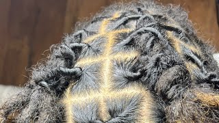 HOW TO BARREL TWIST DREADSlOCS FOR BEGINNERS ‼️ll shamiareneeeee retwist dreadlocks tutorial [upl. by Attenweiler]