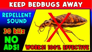 ANTI BEDBUGS REPELLENT SOUND ⛔🐞 KEEP BED BUGS AWAY  ULTRASONIC SOUND [upl. by Akenahs911]