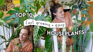 10 Fast Growing EASY Indoor Plants 🌿 Easiest  Fastest Growing Houseplants [upl. by Ylellan]