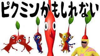 【絵本ならぬ絵動画】ピクミンかもしれない【ピクミン4】 [upl. by Fredi]