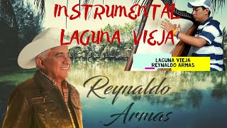 LAGUNA VIEJA  REYNALDO ARMAS  Cover  Arpa  Miguel Landaeta [upl. by Malory]