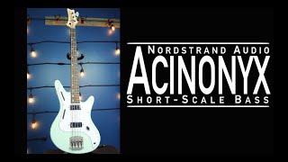 Nordstrand Audio Acinonyx Bass Demo [upl. by Talya]