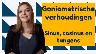 Goniometrische verhoudingen  Sinus cosinus en tangens │BijlesHuis [upl. by Llewkcor596]