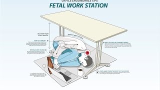 More Office Workers Switching To Fetal Position Desks [upl. by Arised]