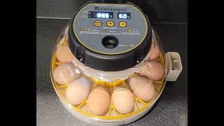 Incubating Chicken Eggs StepbyStep Using The Kebonnixs Egg Incubator My Initial Review 2023 [upl. by Philemol]