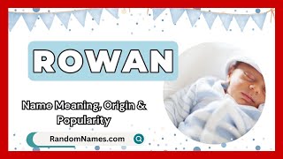 Rowan  Baby Boy Name Meaning Origin amp Popularity  RandomNamescom [upl. by Savage]