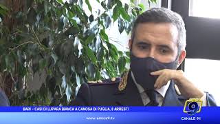 Bari  Casi di lupara bianca a Canosa di Puglia otto arresti [upl. by Heydon]