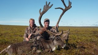 Spot N Stalk Caribou Bow Hunt  Stuck N the Rut 5 [upl. by Changaris]