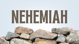 Nehemiah 10 [upl. by Ader3]