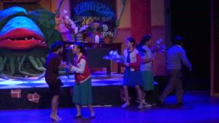 DLSZ Greenlight Theater  Little Shop Of Horrors [upl. by Seidnac]