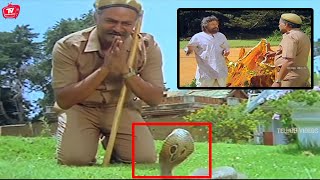 Mugguru Kodukulu Telugu Superb Movie Scene  Krishna  TeluguVideoZ [upl. by Eikcuhc]