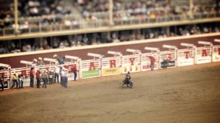 This could be your view at the Calgary Stampede Rodeo [upl. by Akehsyt857]