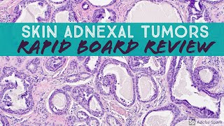 Skin Adnexal Tumors Dermpath Board Review for Dermatology Pathology amp Dermpath [upl. by Abercromby653]