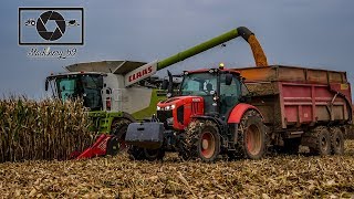 L ETA POCHOLLE au maïs grain avec leur Claas Lexion 760 [upl. by Nooj]