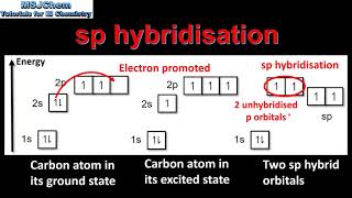 S2216 Hybridisation HL [upl. by Akenahs]