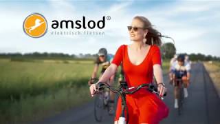 EBikes met de grootste actieradius van Nederland [upl. by Watkin534]