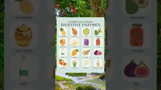 16 Foods that Contain Digestive Enzymes healthtips food healthylifestyle healthyfood healing [upl. by Nolyk774]