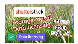 Video Approved Sebagai Data Licensing di Shutterstock [upl. by Dirgis]