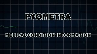 Pyometra Medical Condition [upl. by Timi]