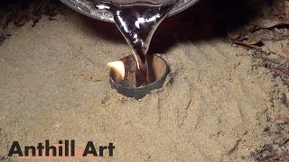 Casting an Aphaenogaster Ant Colony with Molten Aluminum Cast 066 [upl. by Norabal]