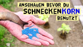 Wichtig Schneckenkorn richtig anwenden Welches Schneckenkorn ist nicht giftig [upl. by Atsocal]